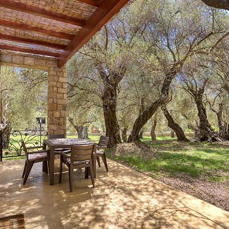 Appartement Stonehouse In Olives à Ulcinj Extérieur photo