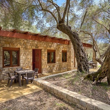 Appartement Stonehouse In Olives à Ulcinj Extérieur photo